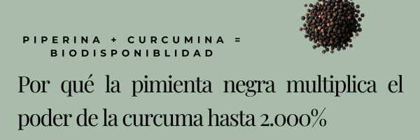 Blog Piperina (Presentación)